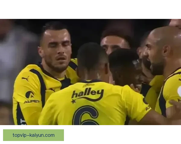 费内巴切整体实力持续提升，备受期待的下半赛季将面临严峻考验。